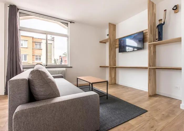 Appartement Croisé Laroche 2 (12min de Lille)